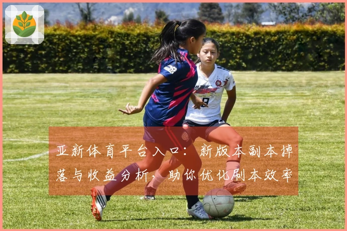 亚新体育平台入口：新版本副本掉落与收益分析，助你优化刷本效率