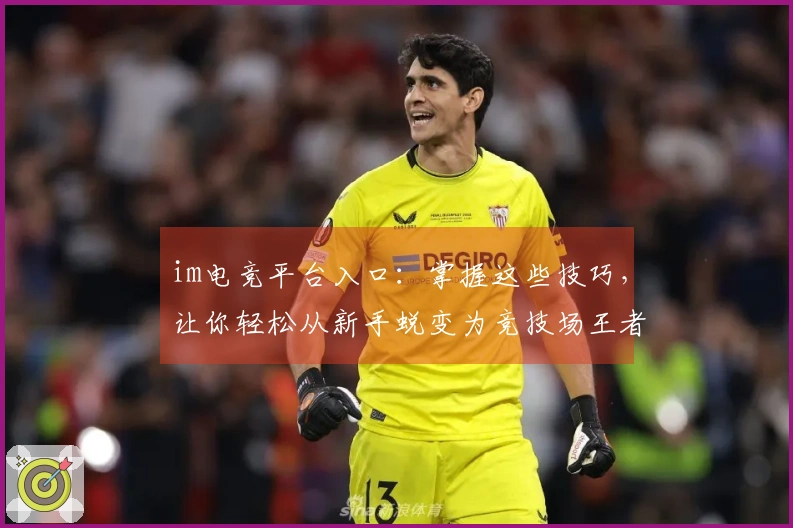 im电竞平台入口：掌握这些技巧，让你轻松从新手蜕变为竞技场王者