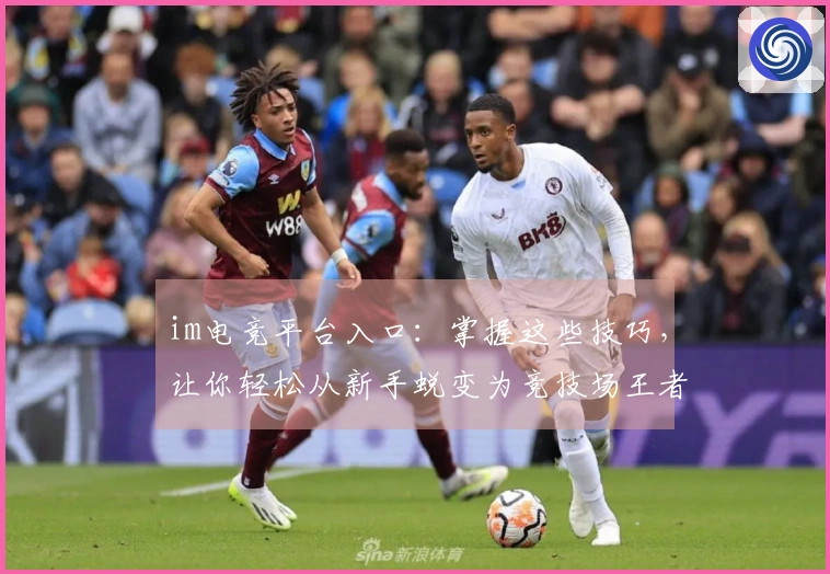 im电竞平台入口：掌握这些技巧，让你轻松从新手蜕变为竞技场王者